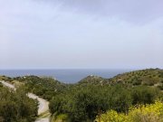 Mochlos Kreta, Mochlos: Steinhaus mit Meerblick zu verkaufen Haus kaufen